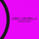 Dario Cantarella - Gimkana