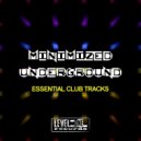 Franx - Minimal Rise (Original Mix)