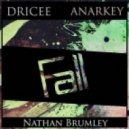 Dricee & Anarkey feat. Nathan Brumley - Fall