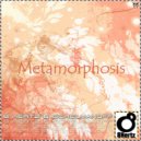 8 Hertz & Schelmanoff - Metamorphosis
