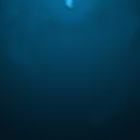 Fortune - Dive