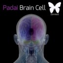 Padai - Tumor (Original Mix)