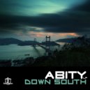 Abity - North the Delay