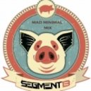 Segment13 - Mad Minimal Mix ()