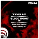 Toric - Letting Go (Original Mix)
