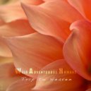 W.A.H. - Dancing Lights (Original)