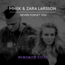 Zara Larsson & MNEK - Never Forget You