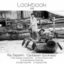 Rip Zapparti, Groovatational Fields - Caribbean Quickness (Groovatational Fields Mix)