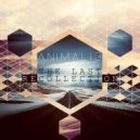 Animal13 - The Last Recollection