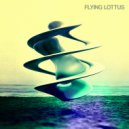 Flying Lottus - Gold Panda (Original Mix)