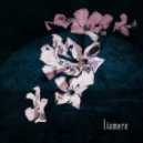 Liamere - Cordless