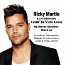 Ricky Martin & ART-BROTHERS - Livin\' la Vida Loca (Dj Andrey Abramov mash up)