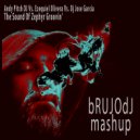 Andy Pitch DJ Vs. Ezequiel Olivera Vs. Dj Jose Garcia - The Sound Of Zephyr Groovin\' (bRUJOdJ MashUp)