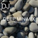 DJ Edson Fabien - Deep Minimix Series 01