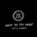 Justin Bieber - What Do You Mean