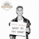 Justin Bieber - What Do You Mean (MANDA Remix)