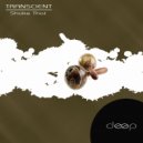 Transcient - We Are The Same (Original Mix)