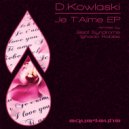 D.Kowalski, Beat Syndrome - Memories Of Love (Beat Syndrome Remix)