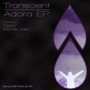 Transcient, Bernie Allen - Squibb (Bernie Allen Remix)