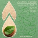 Anton Stellz - Leaf (Original Mix)