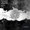 Transcient - Lara\'s Theme (Original Mix)