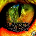 Laydee Virus - Inside