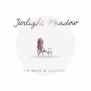 Twilight Meadow - The Worlds We Discovered