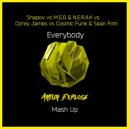 Shapov vs M.E.G & N.E.R.A.K vs Corey James vs Cosmic Funk Sean Finn - Everybody (Artur Explose Mash Up)