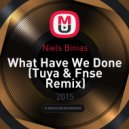 Niels Binias - What Have We Done (Tuya & Fnse Remix)