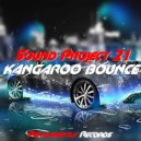 Sound Project 21 - Kangaroo Bounce