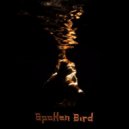 Spoken Bird - Hold On