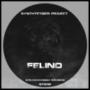 Synthtetizer Project - Felino