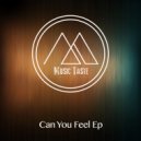 Dealers Of Funky Music - Something About House Music (Original Mix)