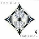 Serif Suljic - Scarisoara