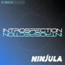 Ninjula - Never (Original Mix)