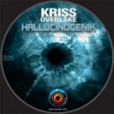 Kriss Overlake - Funky Bass (Original Mix)