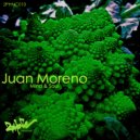 Juan Moreno - Mind & Soul.