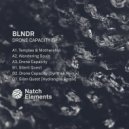 BLNDR - Drone Capacity