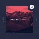 Charles Meyer - Litmus (Original Mix)