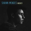 Shawn Mendes - Mercy