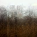 palence - leaden