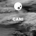 CANI - Heal (Volpe Remix)