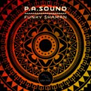 P. A. Sound - One