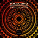 P. A. Sound - Rock´Em Man (Original Mix)