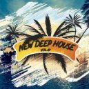 Wallmers & Leo Anderson - Desire (Original Mix)