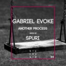 Gabriel Evoke - Troy