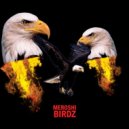 Meroshi - Birdz