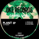 Gabriel Sasso - Plant