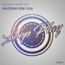 Veltron & Wolf Jay - Waiting For You