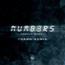 Barely Royal - Numbers (Turno Remix)
